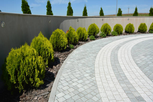 Best Driveway Paver Sealing  in Estill, SC